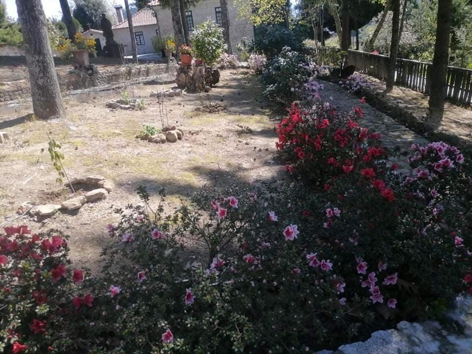 Quinta Da Cartida Villa Santa Marinha do Zêzere Екстериор снимка